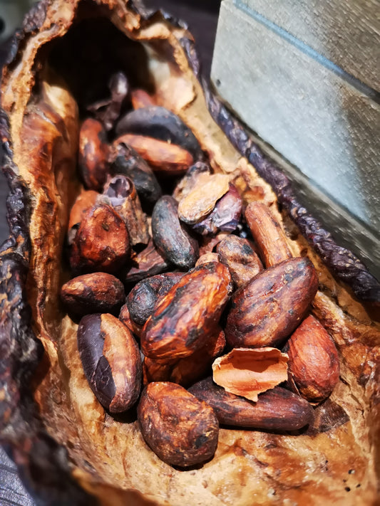Cacao History