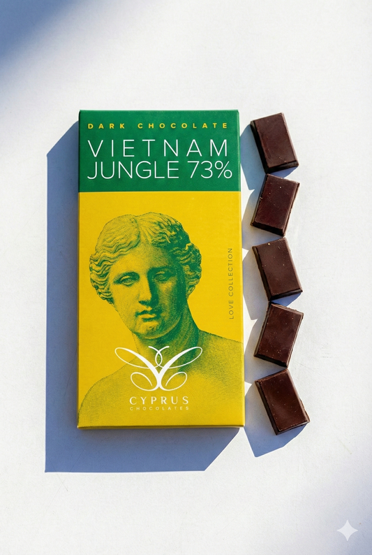 Dark chocolate bar made with Vietnamese cacao beans