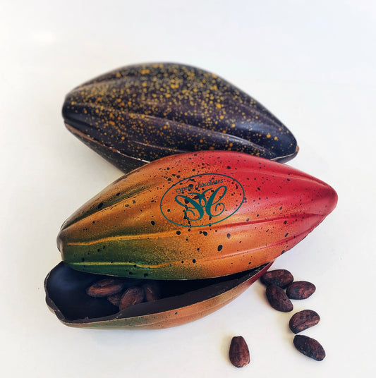 Cacao fruit Chocolate